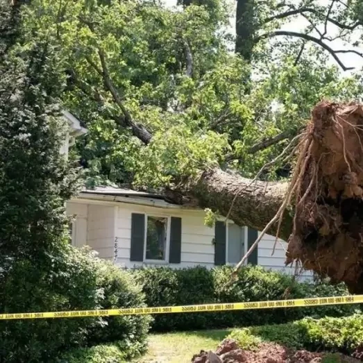 Storm Wind Damage Repair Services in Plano, Texas